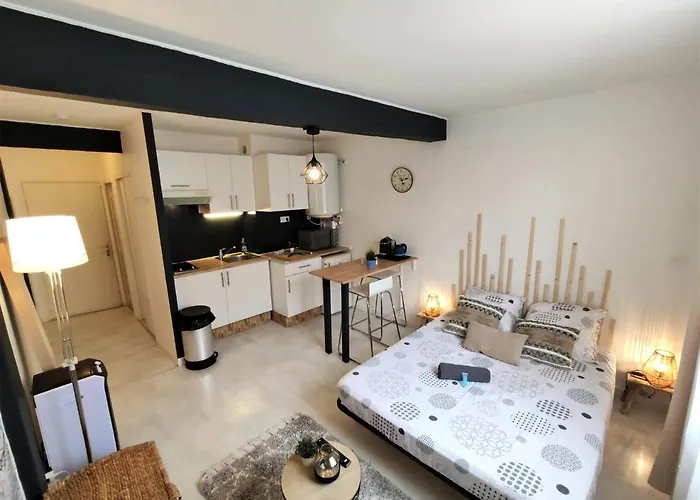 Le Jasmin Des Carmes - Hypercentre - Netflix 아파트