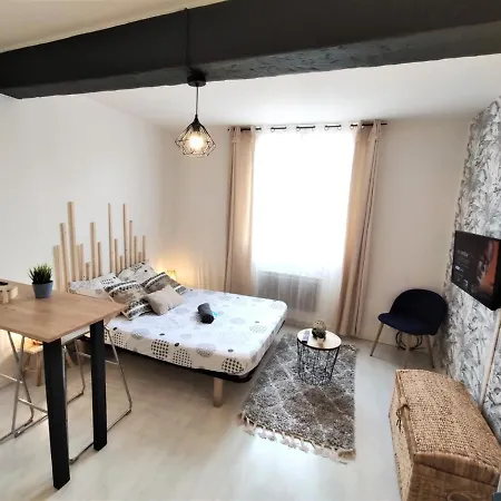 شقة Le Jasmin Des Carmes - Hypercentre - Netflix تولوز