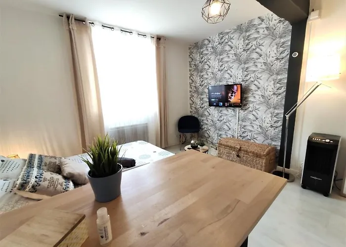 Le Jasmin Des Carmes - Hypercentre - Netflix * Toulouse