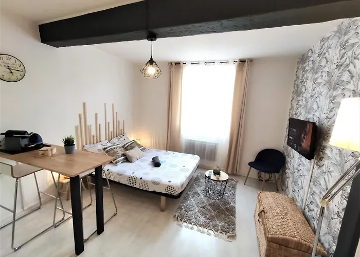 Apartman Le Jasmin Des Carmes - Hypercentre - Netflix Toulouse