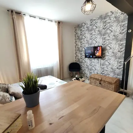 Le Jasmin Des Carmes - Hypercentre - Netflix * Toulouse