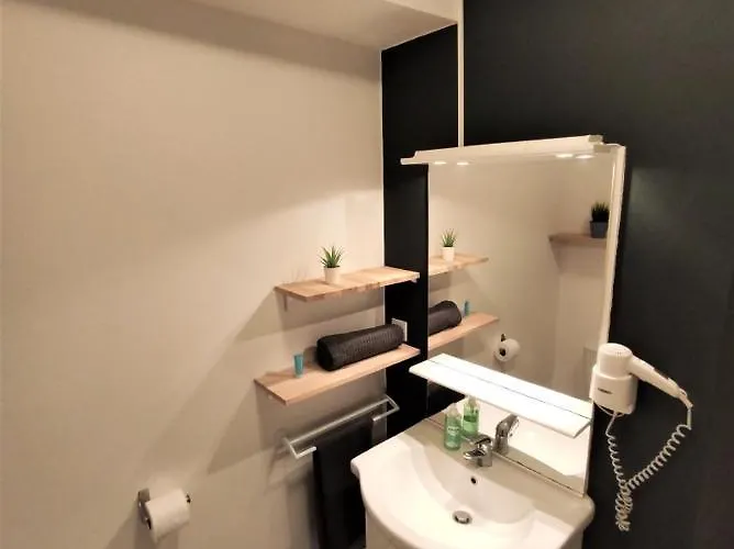 Le Jasmin Des Carmes - Hypercentre - Netflix Апартаменты