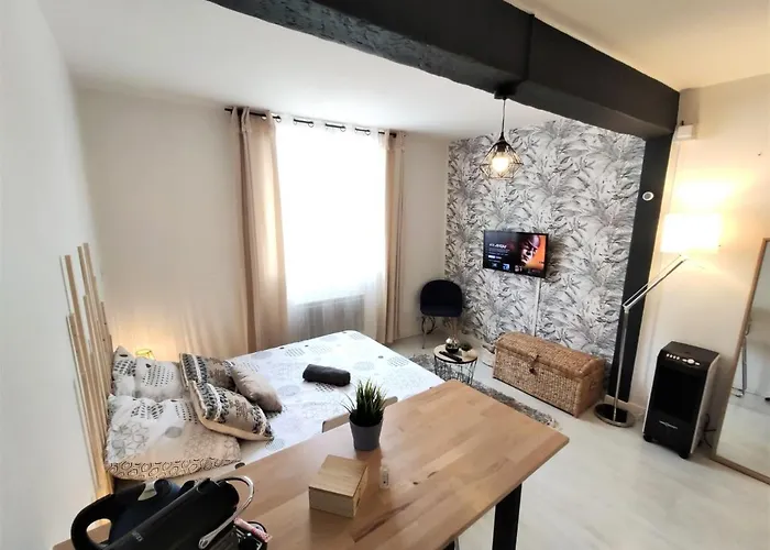 Апартаменты Le Jasmin Des Carmes - Hypercentre - Netflix Тулуза