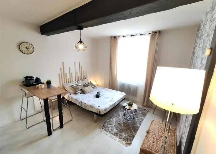 Le Jasmin Des Carmes - Hypercentre - Netflix * Тулуза