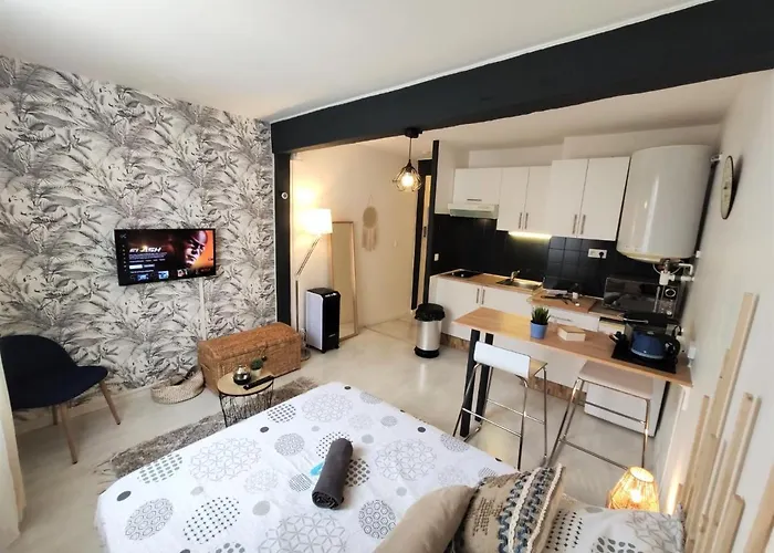 Le Jasmin Des Carmes - Hypercentre - Netflix *