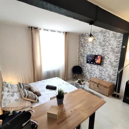Apartment Le Jasmin Des Carmes - Hypercentre - Netflix Toulouse