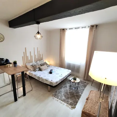 Le Jasmin Des Carmes - Hypercentre - Netflix * Toulouse