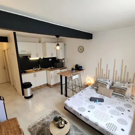 Le Jasmin Des Carmes - Hypercentre - Netflix Apartment
