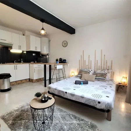 Le Jasmin Des Carmes - Hypercentre - Netflix Apartment