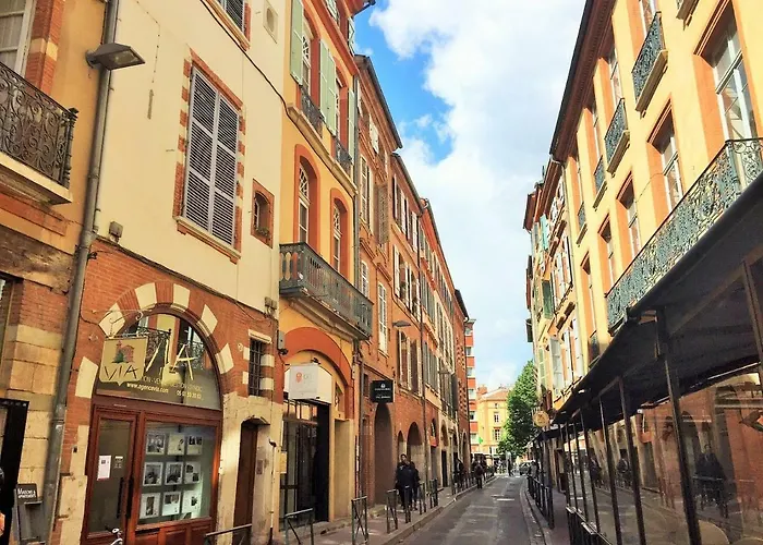 Appartement Le Jasmin Des Carmes - Hypercentre - Netflix Toulouse